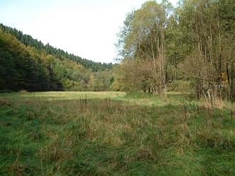 Feuchtgr&uuml;nland in Meinerzhagen Aggertal, talauf, &copy; FNMK 2004