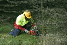 Mitarbeiten, &copy; FNMK 2011