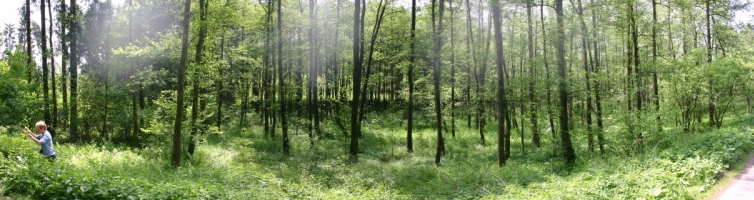 Blick auf ein Talgrundst&uuml;ck bei Berkerm&uuml;hle, &copy; FNMK 2010