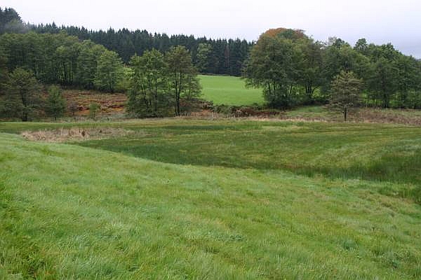 Zentraler Teil des Hangmoor Braucke,
     &copy; FNMK 2004