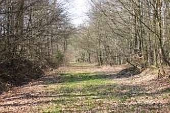 Ehemalige Zufahrt des ehem. Munitionsdepot L&uuml;denscheid-Buckesfeld, &copy; FNMK 2004