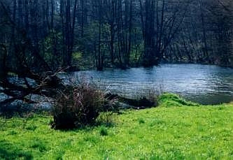 NSG Humme im Sommer, &copy; FNMK 2004